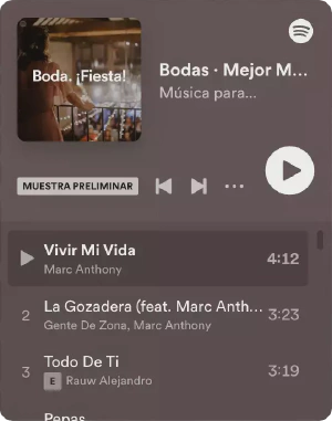 Ezkontzetarako Spotify playlist pertsonalizatua